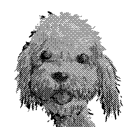 a Dogs Dream: black-and-white halftone close-up of a shaggy dog face on black background.