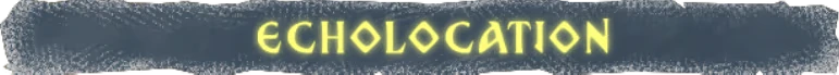 Crack In The Dark: Yellow "ECHOLOCATION" text on a dark, textured background.