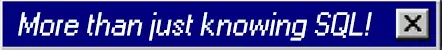 Database Detective: Blue dialog box with white text "More than just knowing SQL!" and a close button.