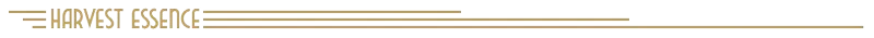 Harvest Essence – Deck of Haunts Deck of Haunts: "Harvest Essence" text in gold with art deco lines on a black background.