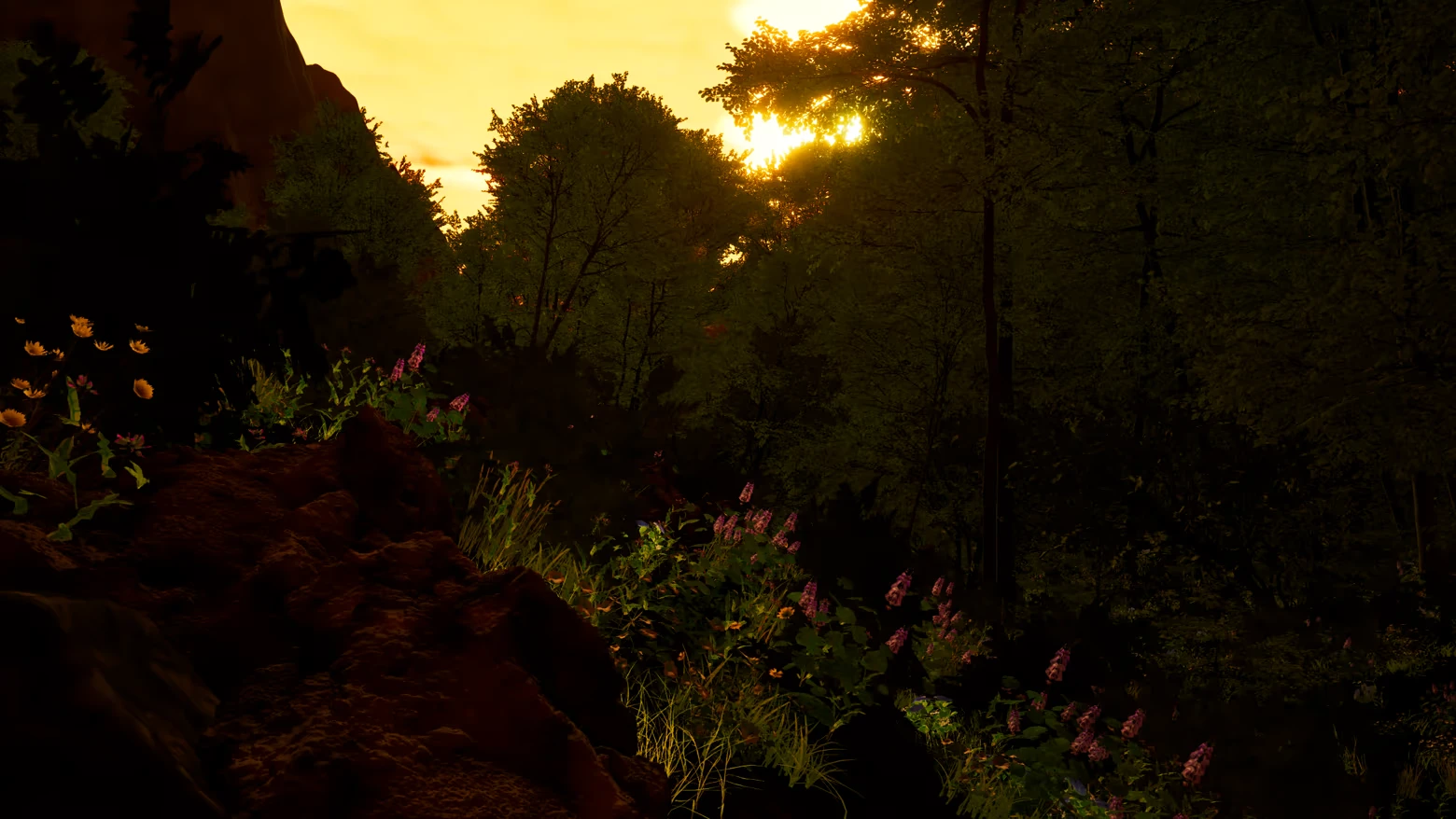Dream Voyage: Sunlight filters through trees, illuminating vibrant flowers on a rocky hillside.