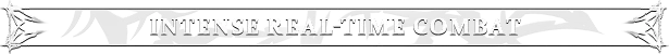 Intense Combat Banner – Edge of Memories Edge of Memories: INTENSE REAL-TIME COMBAT text on gray banner with white borders.