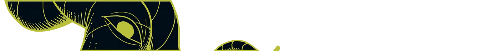 Mystic Eye Closeup – Esoteric Ebb Esoteric Ebb: Yellow line-art eye and curved shapes on a black background.