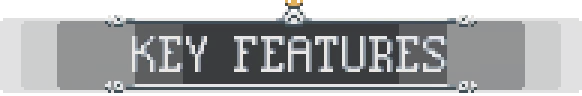 Frogreign: Pixelated "KEY FEATURES" text with a small crown icon on a dark background.
