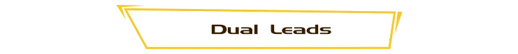 Dual Leads Banner – Ghost Hunting Journal Ghost Hunting Journal: White banner with gold border showing “Dual Leads” text.