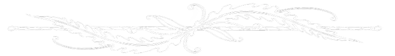 Ornate Divider – Grey Wake Grey Wake: White ornate vine flourish on black background, centered horizontal divider.