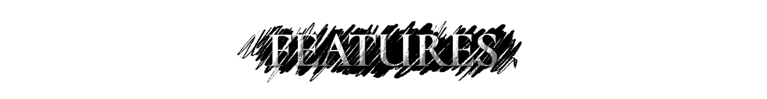HAUNTED: White serif word “FEATURES” on a black brushstroke banner.