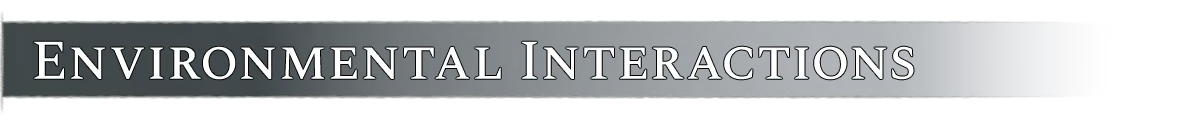 HYDROPUNK: Banner with white serif text “ENVIRONMENTAL INTERACTIONS” on dark blue.