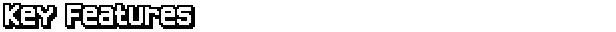 Identifile: White pixelated text "Key Features" on a black background.