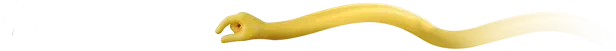 No Booty no Pay – Last Pirates: Die Together Last Pirates: White text “NO BOOTY, NO PAY!” beside a long yellow stretchy arm.