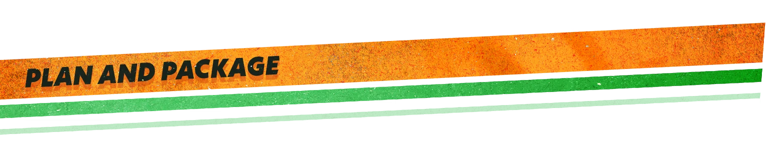 Plan and Package – PACS - Post Apocalypse Courier Service: Co-op Delivery Simulator PACS - Post Apocalypse Courier Service: Bold text "PLAN AND PACKAGE" on orange and green stripes.