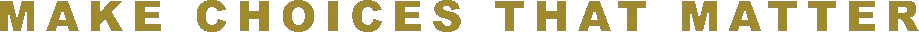 Pikku Adventure: Gold pixel text reading “MAKE CHOICES THAT MATTER” on black background.