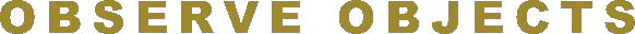 Pikku Adventure: Large gold pixel text reading “OBSERVE OBJECTS” on black background.