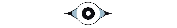 Play Rough: A stylized eye with a black pupil, white iris, and blue accents on a black background.