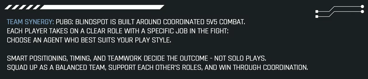 PUBG: Text highlights 5v5 combat, teamwork, and choosing roles; features tech-style design.