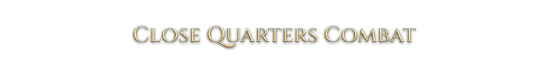 Close Quarters Combat – Sagas of Lumin Sagas of Lumin: "Close Quarters Combat" text in elegant gold font on a dark background.