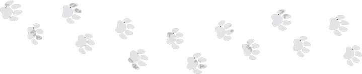 Paws Trail – Schematic Void Schematic Void: Black and white paw prints scattered across a white background.