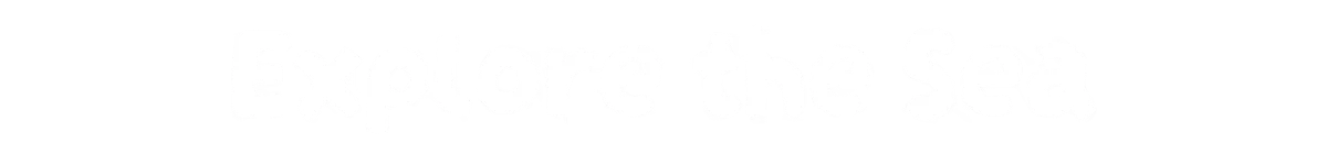 Seaward: White bold text reading “Explore the Sea” on a black background.