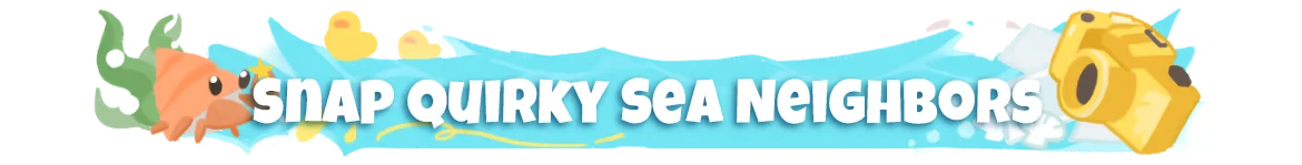 Splash Divers: Banner text “SNAP QUIRKY SEA NEIGHBORS” with fish and camera icon.