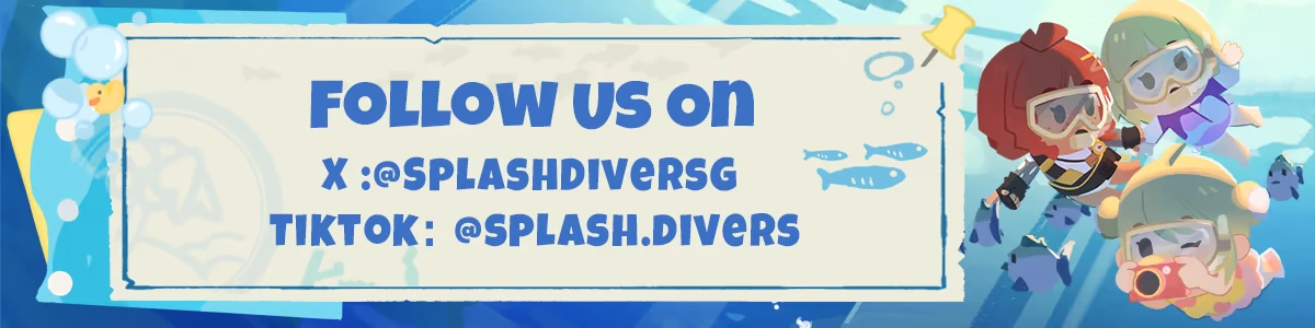Splash Divers: Banner text “Follow us on X @SPLASHDIVERSG TIKTOK @SPLASH.DIVERS”.