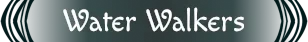 Water Walkers – The Edge of Water The Edge of Water: White stylized text “Water Walkers” on a dark teal background.