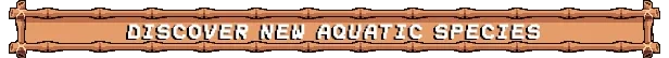 Tiny Aquarium: Wooden banner with "DISCOVER NEW AQUATIC SPECIES" in bold white text.